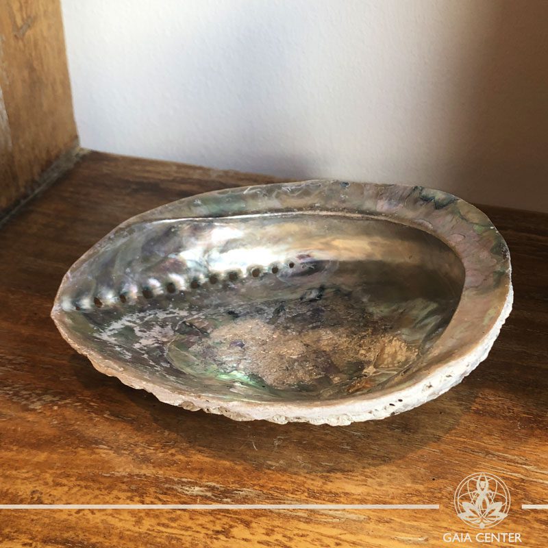 ABALONE SHELL Smudging bowl for Palo Santo and White Sage at Gaia Center in Cyprus. Shop online at https://gaia-center.com