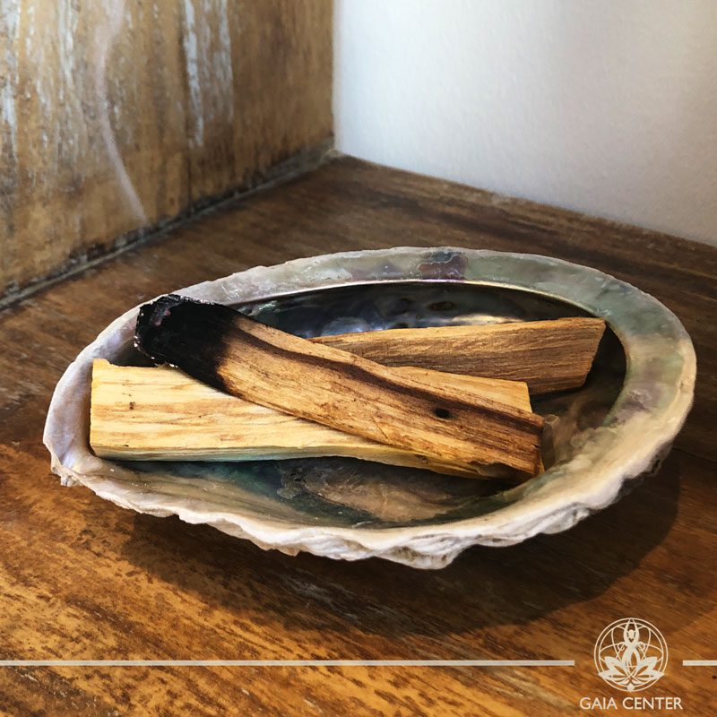 ABALONE SHELL Smudging bowl for Palo Santo and White Sage at Gaia Center in Cyprus. Shop online at https://gaia-center.com