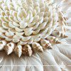 Natural seashell and feathers wall decor at Gaia Center in Cyprus. Shop online at https://gaia-center.com. Cyprus and Worldwide shipping.