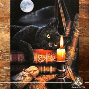 Canvas Plaque Witching Hour Cat | Wall Art | at Gaia Center | Cyprus.