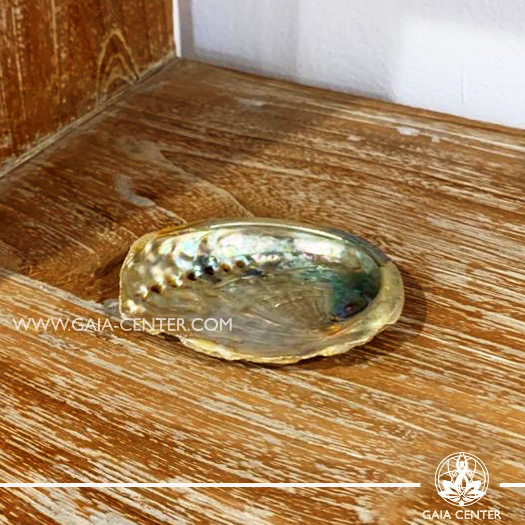 Abalone Shell approx.8.5cm Smudging bowl for Palo Santo and White Sage at Gaia Center in Cyprus. Shop online at https://gaia-center.com