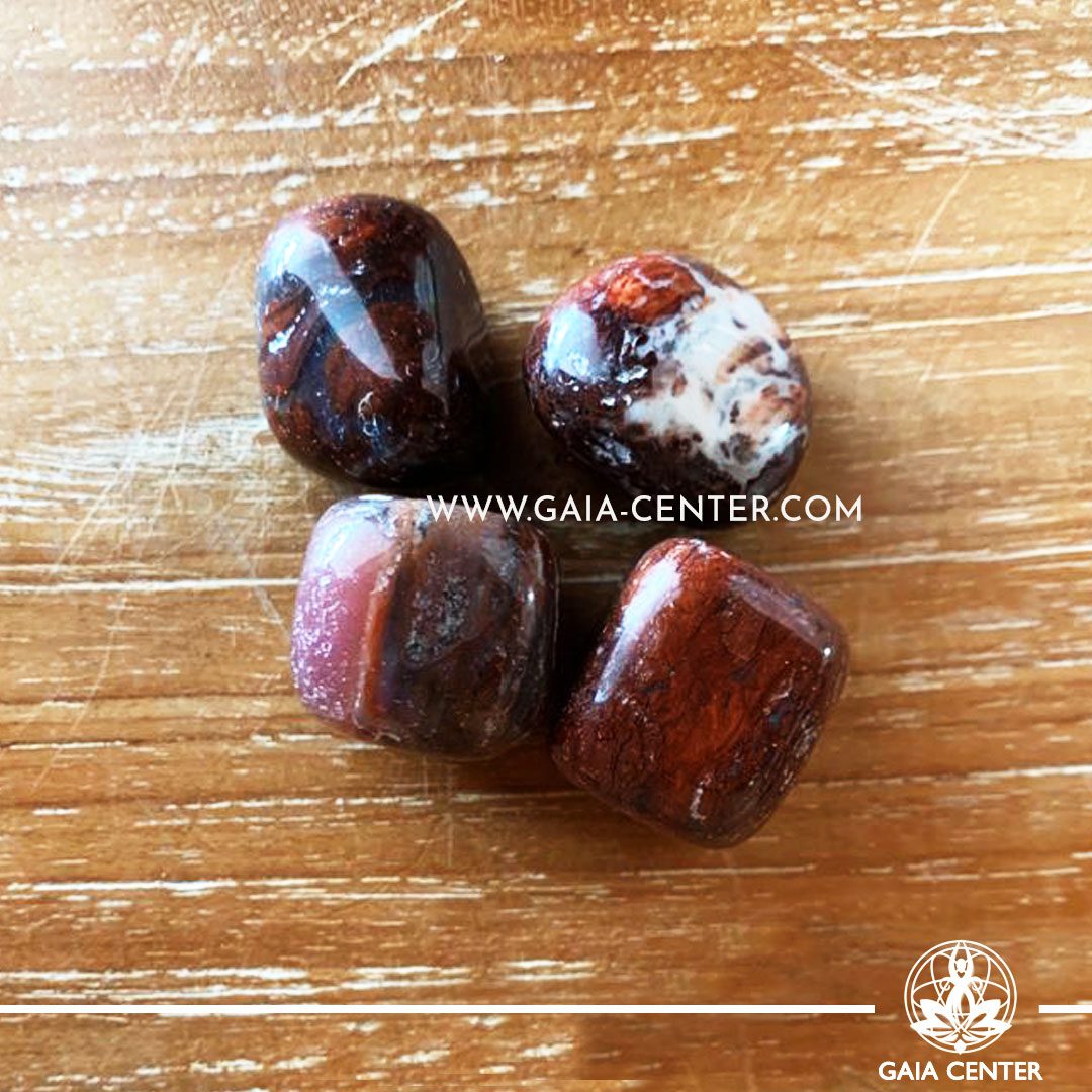 Petrified Wood from India Tumbled Stones, size 20-30mm. Crystals and Gemstone selection at GAIA CENTER | Cyprus.