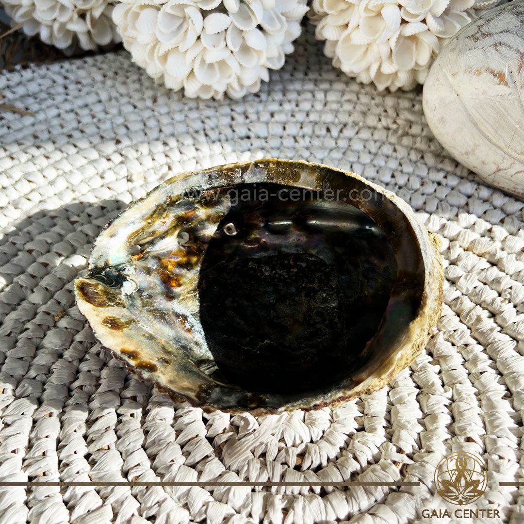 Abalone Shell - Paula shell Smudging bowl for Palo Santo and White Sage at Gaia Center in Cyprus. Size: approx.13.5cm Shop online at https://gaia-center.com Buy online at Gaia Center | Cyprus. Cyprus islandwide delivery: Limassol, Larnaca, Paphos, Nicosia. Europe and worldwide shipping.