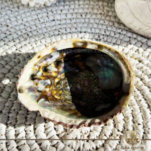 Abalone Shell - Paula shell Smudging bowl for Palo Santo and White Sage at Gaia Center in Cyprus. Size: approx.13 cm Shop online at https://gaia-center.com Buy online at Gaia Center | Cyprus. Cyprus islandwide delivery: Limassol, Larnaca, Paphos, Nicosia. Europe and worldwide shipping.