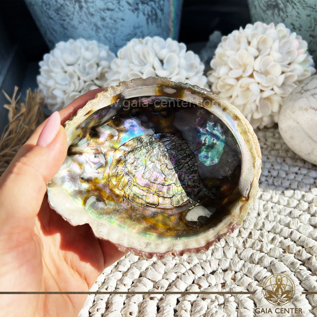 Abalone Shell - Paula shell Smudging bowl for Palo Santo and White Sage at Gaia Center in Cyprus. Size: approx.13 cm Shop online at https://gaia-center.com Buy online at Gaia Center | Cyprus. Cyprus islandwide delivery: Limassol, Larnaca, Paphos, Nicosia. Europe and worldwide shipping.