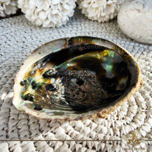 Abalone Shell - Paula shell Smudging bowl for Palo Santo and White Sage at Gaia Center in Cyprus. Size: approx.14.5cm Shop online at https://gaia-center.com Buy online at Gaia Center | Cyprus. Cyprus islandwide delivery: Limassol, Larnaca, Paphos, Nicosia. Europe and worldwide shipping.