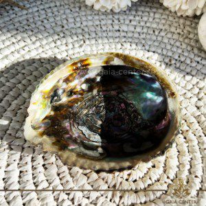 Abalone Shell - Paula shell Smudging bowl for Palo Santo and White Sage at Gaia Center in Cyprus. Size: approx.14cm Shop online at https://gaia-center.com Buy online at Gaia Center | Cyprus. Cyprus islandwide delivery: Limassol, Larnaca, Paphos, Nicosia. Europe and worldwide shipping.