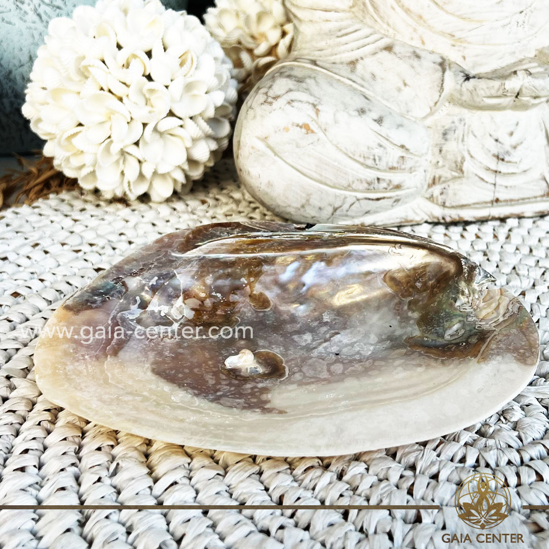 Abalone Shell - Mother of Pearls with pearls Smudging bowl for Palo Santo and White Sage at Gaia Center in Cyprus. Size: approx.15-16cm Shop online at https://gaia-center.com Buy online at Gaia Center | Crystal & Incense Shop in Cyprus. Cyprus islandwide delivery: Limassol, Larnaca, Paphos, Nicosia. Europe and worldwide shipping.