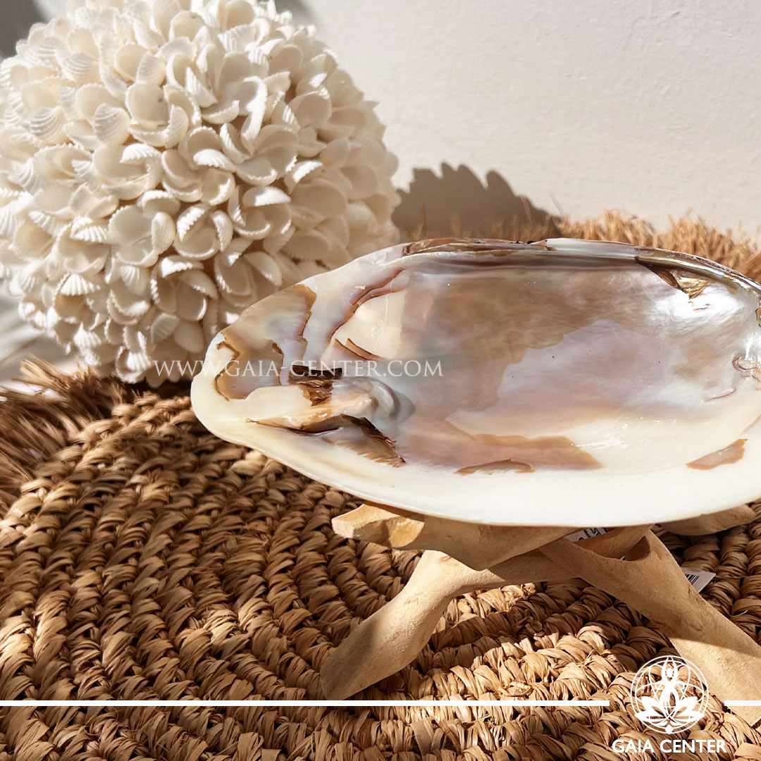 Shell Mother of Pearl for Smudging – Natural Cleansing Tool at GAIA CENTER Crystal Shop in Cyprus. Bring a touch of the ocean’s beauty and calm energy into your spiritual rituals with our Mother of Pearl Shell, traditionally used as a smudging bowl for burning sage, palo santo, and other sacred herbs. Symbolism & Meaning Mother of Pearl is known for its gentle, protective energy. Represents purity, inner calm, and emotional balance. Shells have long been used in cleansing rituals to honor water energy, one of the four sacred elements (earth, air, fire, water). Gaia Center crystal shop in Cyprus. Order online, Cyprus islandwide delivery: Limassol, Larnaca, Paphos, Nicosia. Europe and Worldwide shipping.