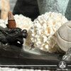 Backflow Incense Burner - Dragon Antique | Ceramic at Gaia Center | Crystal Shop in Cyprus. Backflow Incense Burner featuring a stunning smoke waterfall design. This handcrafted ceramic burner uses specially designed backflow incense cones to create a mesmerizing cascade of smoke that flows like water, adding a unique aesthetic and calming ambiance to any space. Ideal for meditation, relaxation, and home decor, this incense burner not only purifies the air but also serves as a beautiful centerpiece. Perfect for aromatherapy enthusiasts and those seeking a serene atmosphere. Backflow incense burners an Backflow dhoop cones selection at Gaia Center | Incense Aroma & Crystal shop in Cyprus. Order online, Cyprus islandwide delivery: Limassol, Larnaca, Nicosia, Paphos. Europe and worldwide shipping.