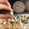 Amazonite Blue Tumbled Stone - Healing Crystal from Gaia Center Cyprus. Available now at our Gaia Center crystal shop in Cyprus. Visit us to choose your crystals  in-store or order crystals online with Cyprus islandwide delivery: Nicosia, Paphos, Limassol, Larnaca...