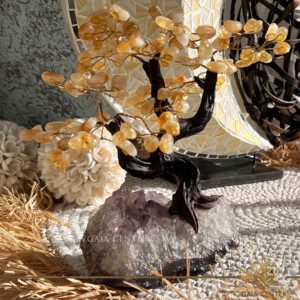 Citrine Bonsai Tree with Amethyst crystal base from Gaia Center Crystal Shop in Cyprus. Buy top quality genuine crystals online, Cyprus islandwide delivery: Limassol, Larnaca, Paphos, Nicosia. Europe and Worldwide shipping.