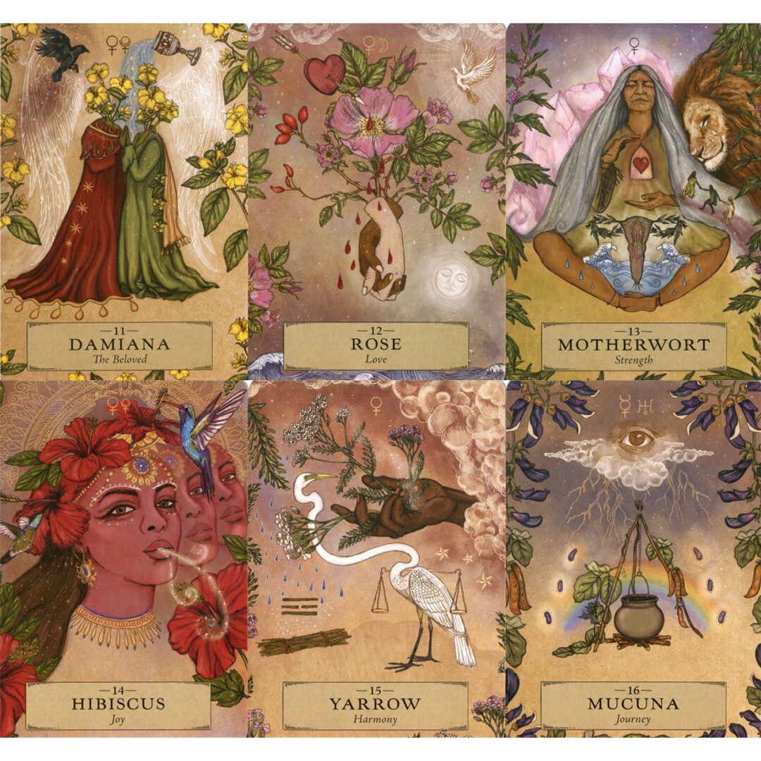 The Herbal Astrology Oracle - Adriana Ayales. Tarot Cards, Oracle and Angel decks selection. Order and buy online or in-person at Gaia Center Crystal and Esoteric shop in Cyprus. Cyprus islandwide delivery: Limassol, Nicosia, Paphos, Larnaca. International shipping