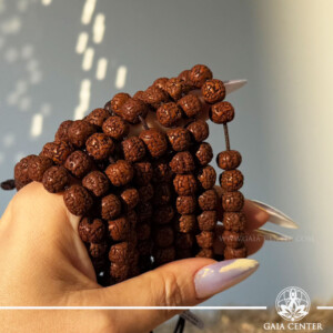 Mala-Bracelet Polished Rudraksha 21 beads - Adjustable | Nepal at Gaia Center crystal shop Cyprus